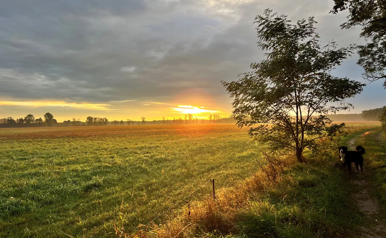 Sonnenaufgang über Wiesen und Felder